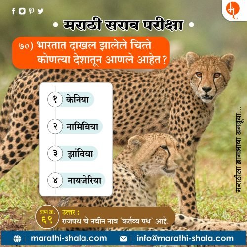 भारतात दाखल झालेले चित्ते कोणत्या देशातून आणले आहेत ?