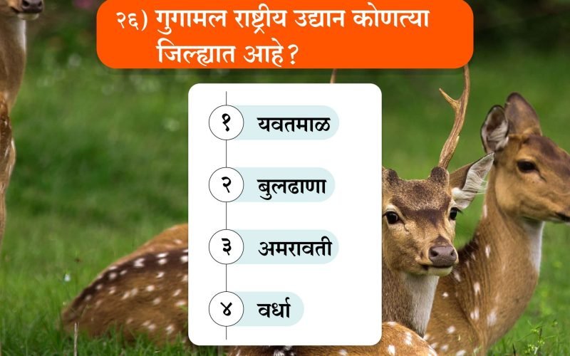 Marathi Sarav Pariksha | मराठी सराव परीक्षा