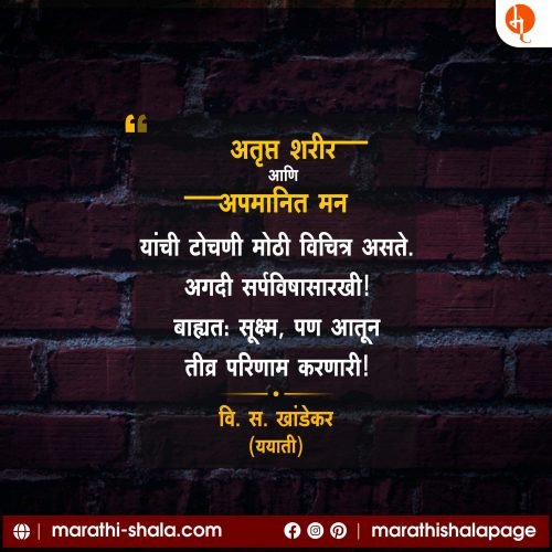 V S Khandekar | वि.स. खांडेकर